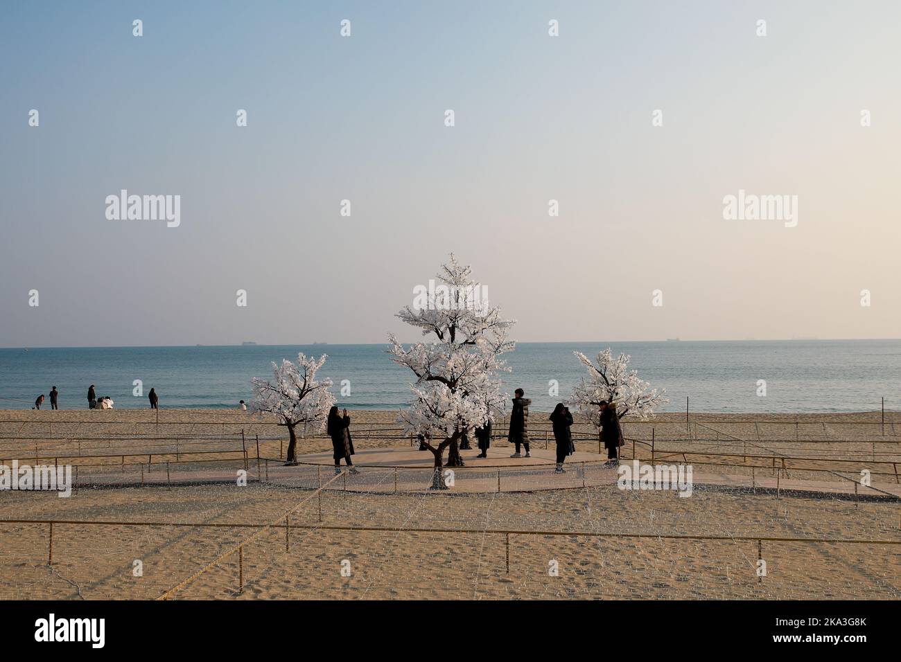 A view of the Christmas art installation of white trees on a sandy beach in Busan, South Korea Stock Photo