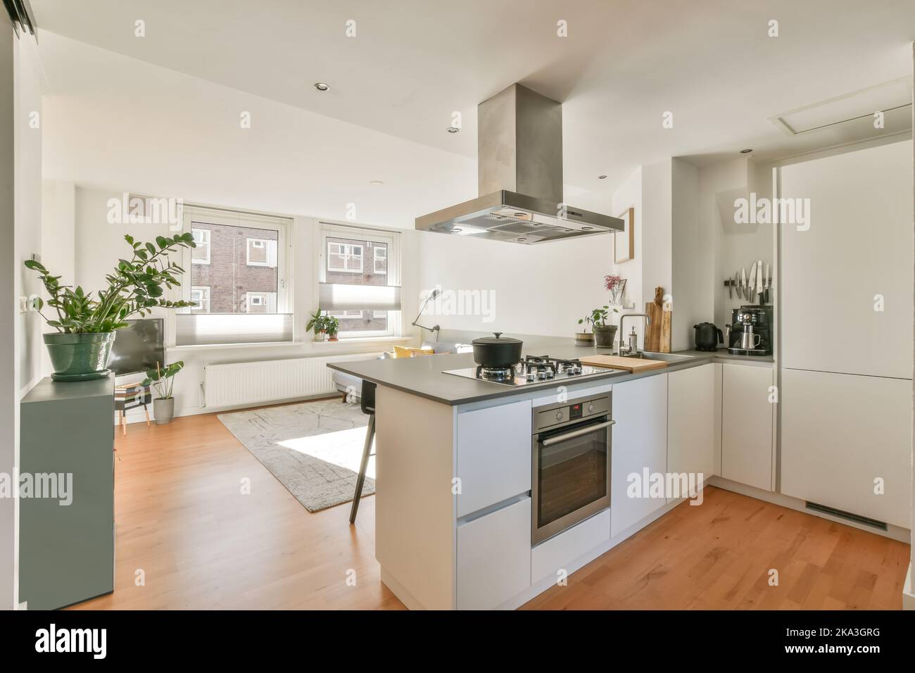 Interior of contemporary kitchen with white counters and appliances in ...