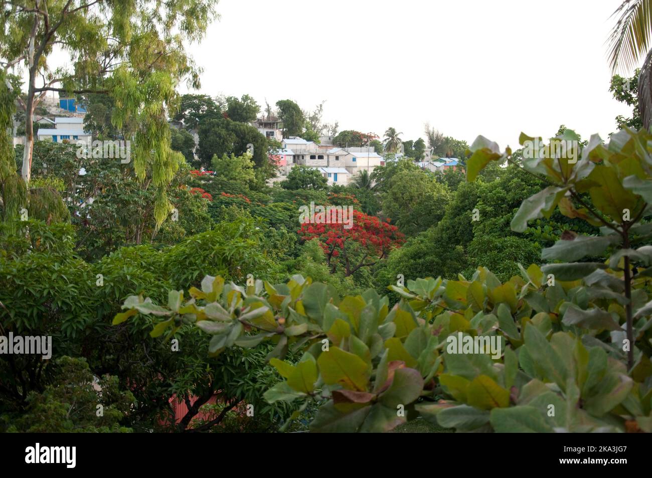 Vegetation and houses, PortauPrince, Haiti. PortauPrince has about 2 million inhabitants