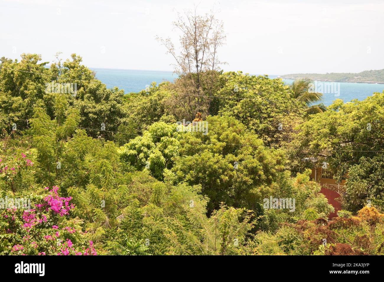 View to Bay of Jacmel, Haiti. Jacmel is a large town on the south coast