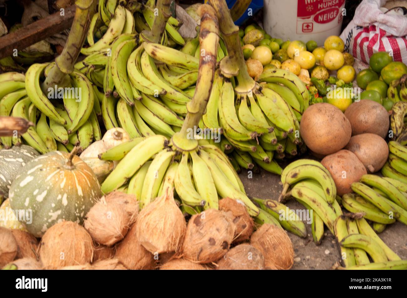 Bunch Of Ripe Organic Bananas And Coconut On Wooden Backgroundcoconut And  Bananasbanana Coconut Stock Photo - Download Image Now - iStock