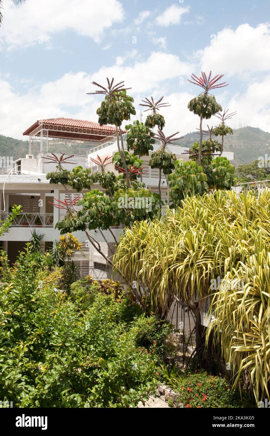 Hotel grounds, PortauPrince, Haiti this old colonial house has been