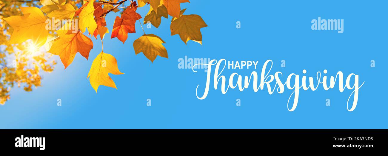 Happy Thanksgiving header, fall panoramic background, sun, yellow maple leaves and blue sky Stock Photo