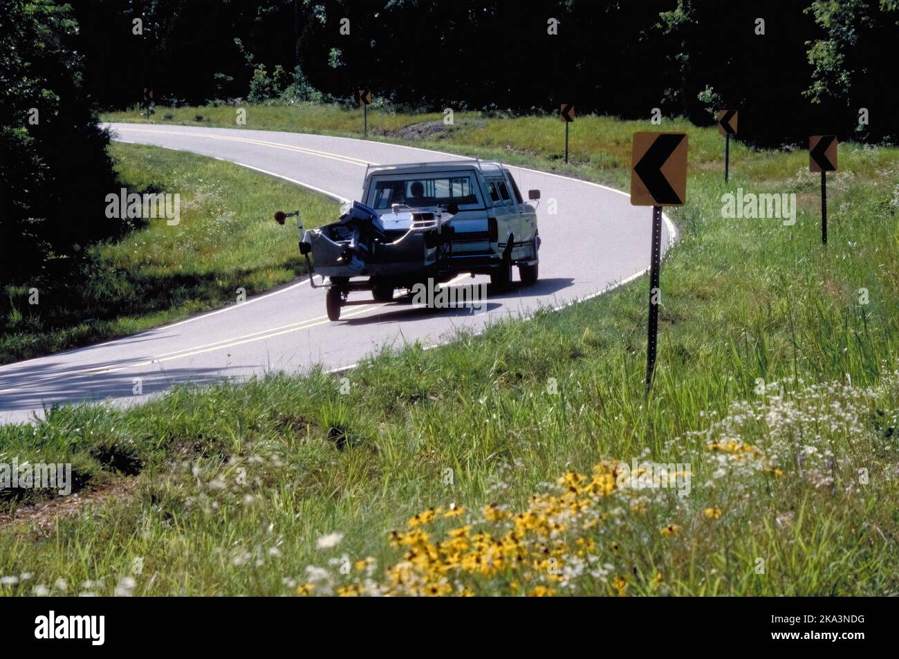 Black Eyed Susan wildflowers add to this stretch of curvy highway in the Missouri Ozarks near Branson, Missouri. Stock Photo
