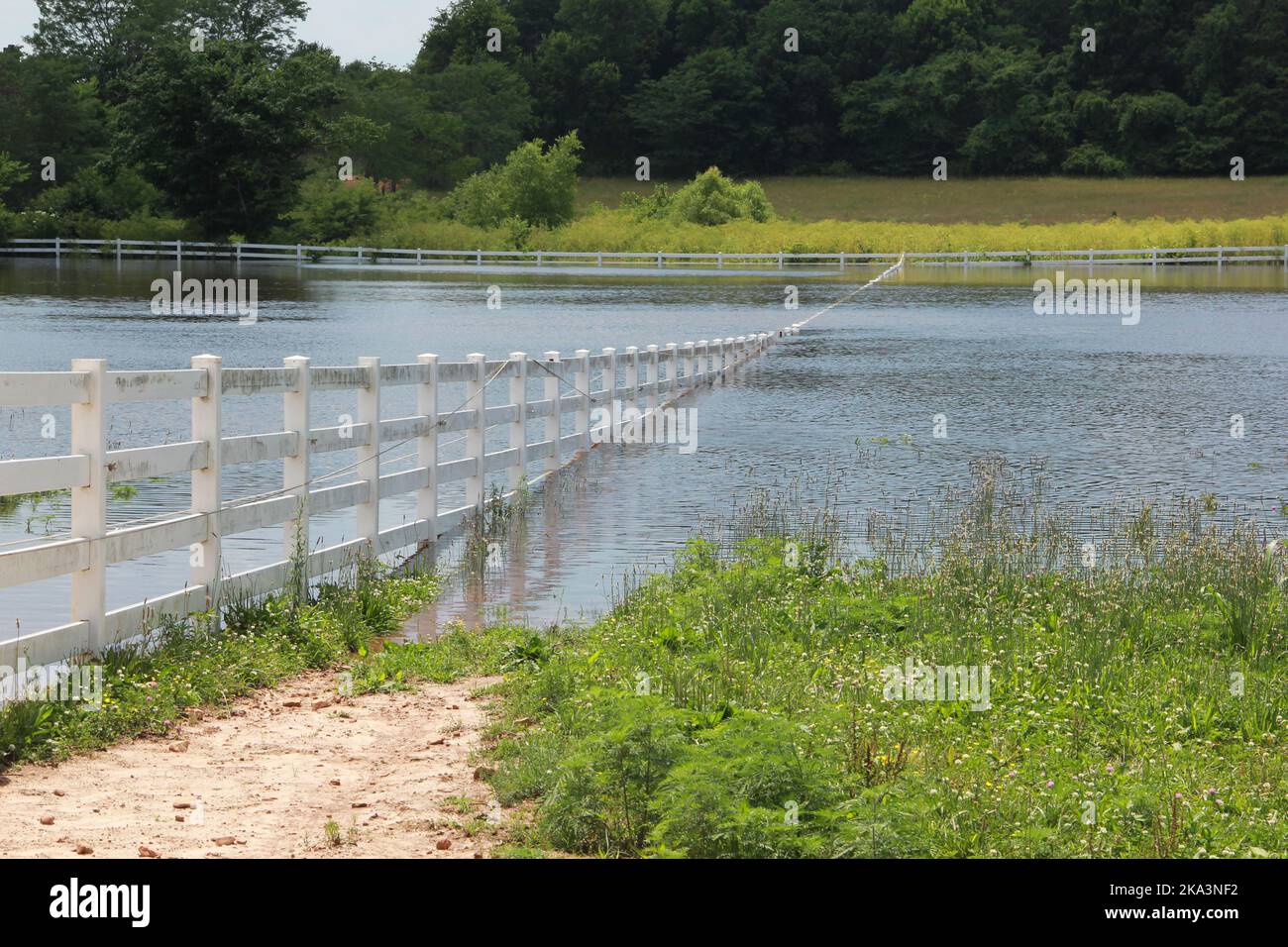 Heavy rains cause a horse pasture to temporarily become a lake in southern Missouri. Stock Photo