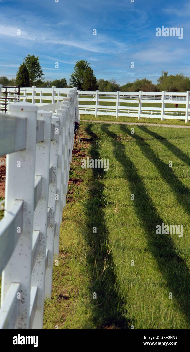 Vinyl farm fences are used for looks and to safely contain horses. Stock Photo