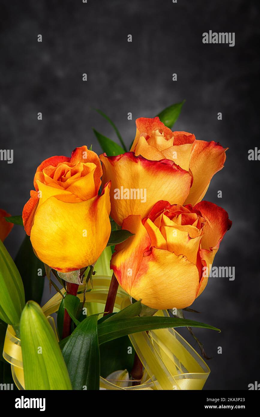 Beautiful flower bouquet of three yellow orange roses against dark ...