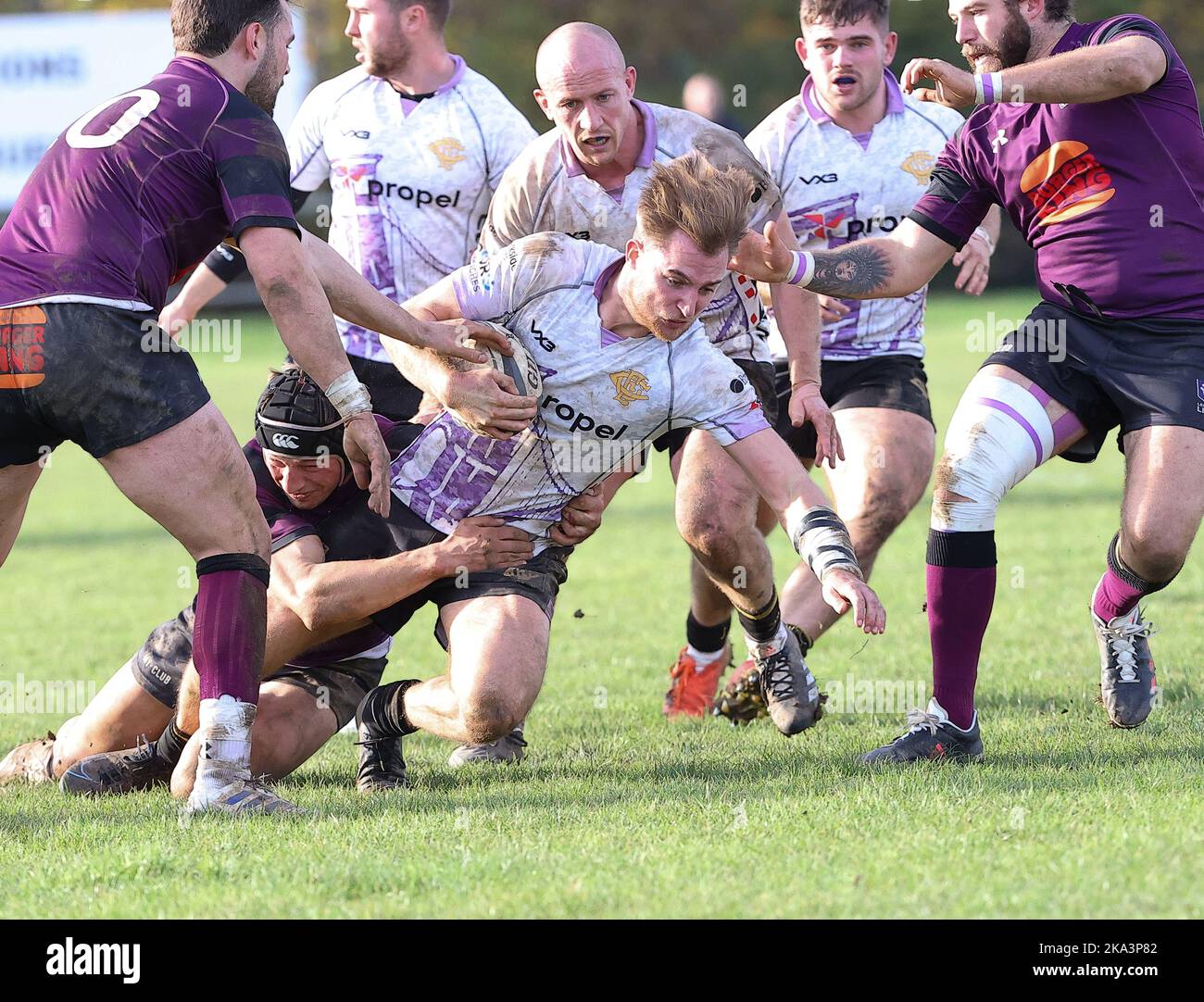 29.10.2022   Leicester, England. Rugby Union.                   Fin Sharp on the charge for Clifton during the National League 2 West, round 8, match played between Leicester Lions and Clifton rfc at Westleigh Park, Blaby, Leicester.  © Phil Hutchinson Stock Photo