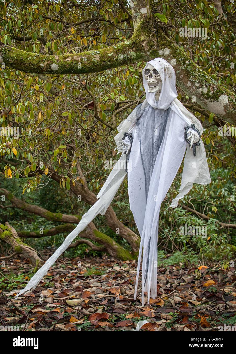 Scary decoration hi-res stock photography and images - Alamy