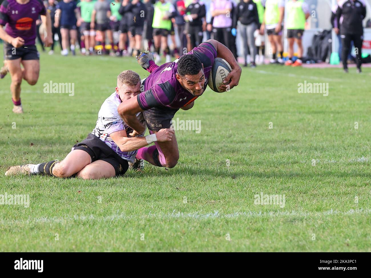 29.10.2022   Leicester, England. Rugby Union.                   Devon Constant scores the first of his two trys for Lions in the 38th minute of the National League 2 West, round 8, match played between Leicester Lions and Clifton rfc at Westleigh Park, Blaby, Leicester.  © Phil Hutchinson Stock Photo
