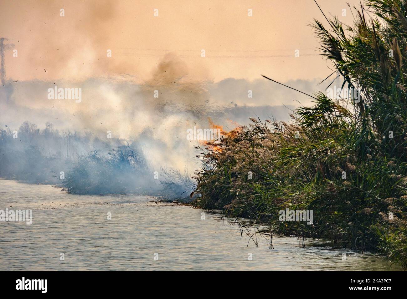 Burning of rice stubble burning straw in rice farmers in Albufera