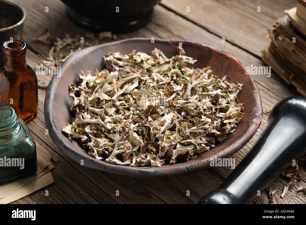 Dried Iceland moss for making healthy herbal cough tea. Bottle of icelandic moss syrup or tincture, natural cough medicine. Alternative herbal medicin Stock Photo