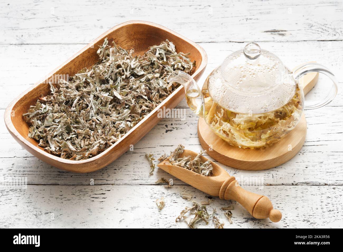Glass teapot of herbal Icelandic moss tea. Wooden scoop and bowl of dried Iceland moss. Cetraria islandica - latin name of plant. Alternative herbal m Stock Photo