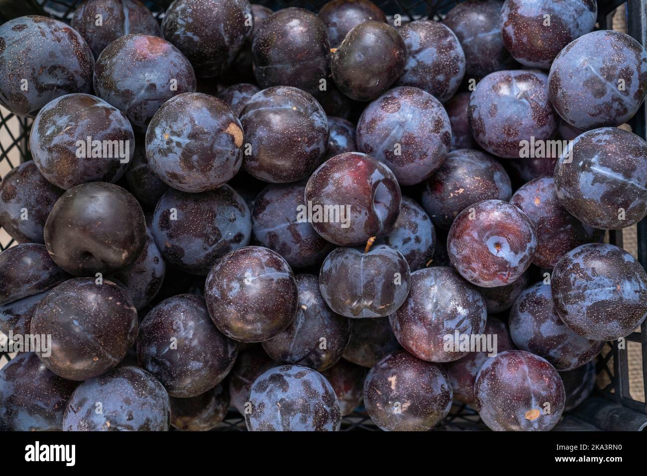 Group of Plum fruit on the grocery. Stock Photo
