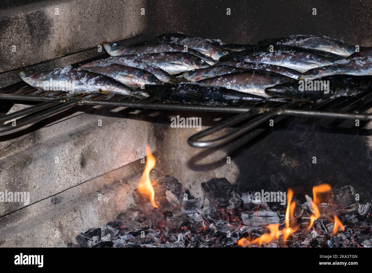 Closeup of fresh sardines cooking on a barbecue grill Stock Photo Alamy