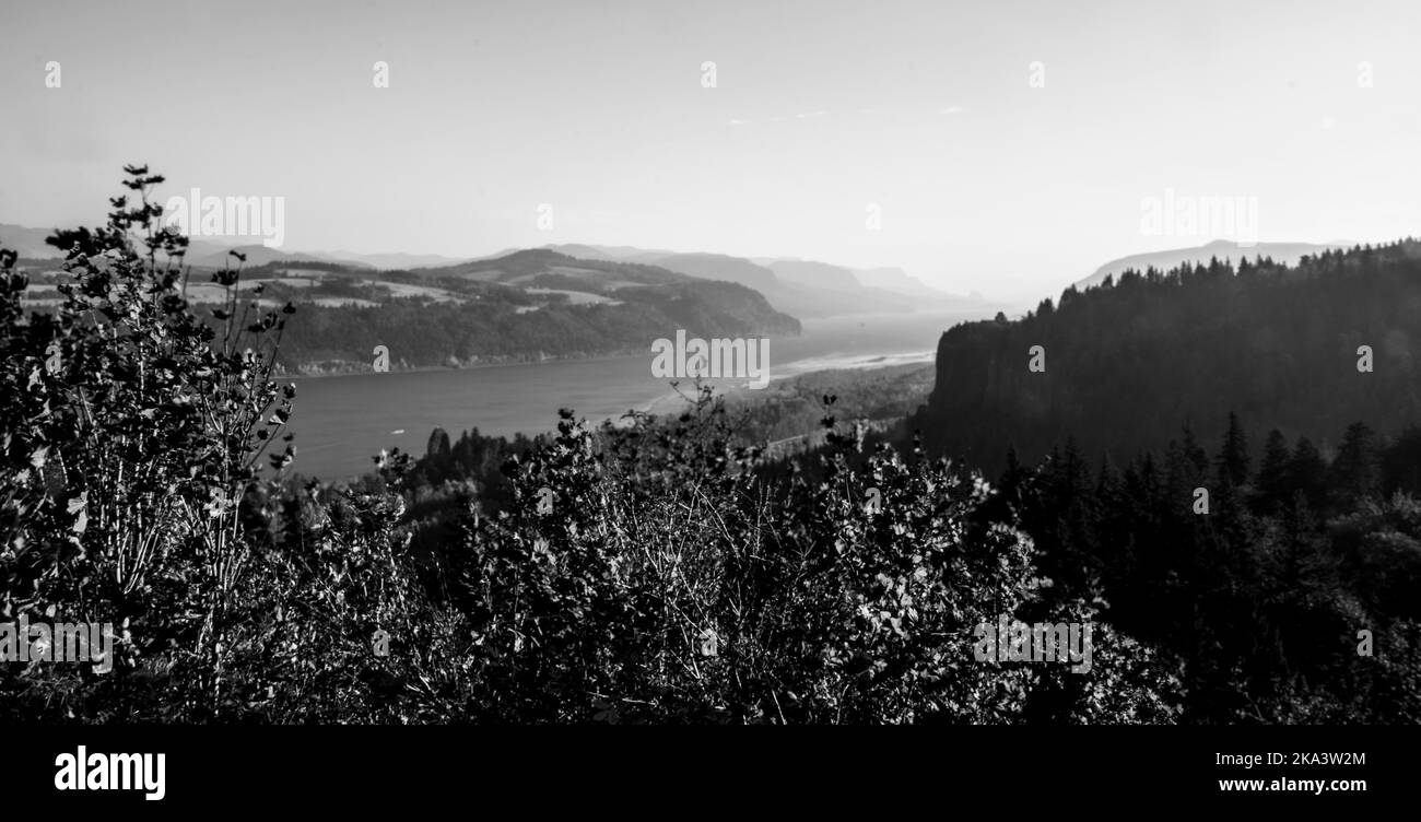 View of the Columbia River gorge in Oregon, Stock Photo