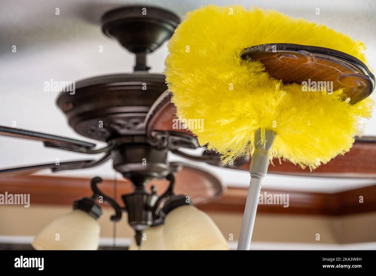 Using a wand feather duster to remove and clean dust from a ceiling fan