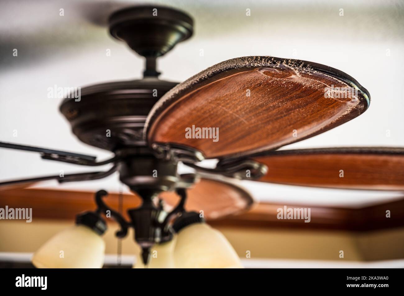 dust buildup on blade of ceiling fan Stock Photo Alamy