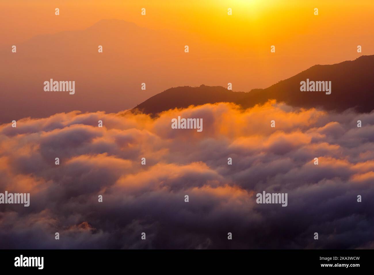 A golden sunrise mountain peak with a sea of clouds. Perfect for nature ...
