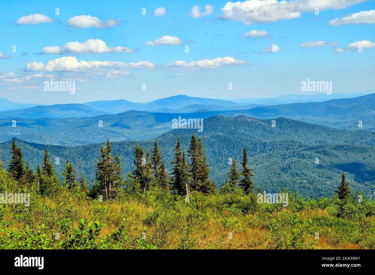 Sunny summer mountain landscape. Popular ski resort Sheregesh in bright summer day, Mountains with deep coniferous forest covered. At foreground on sl Stock Photo
