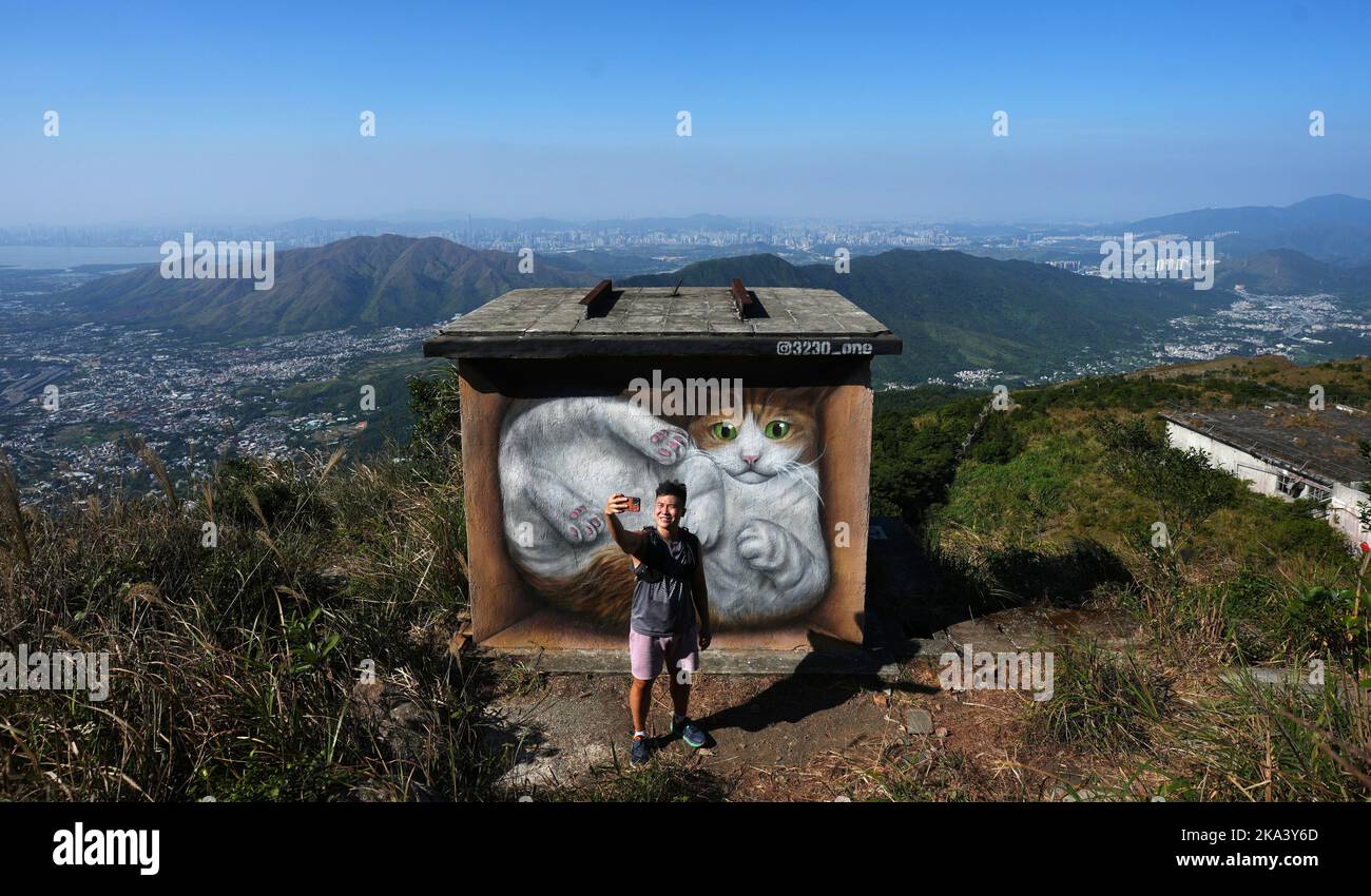 A giant cat graffiti is seen at MacLehose Trail Sector 8 in Tai Mo Shan.27OCT22   SCMP / Sam Tsang Stock Photo