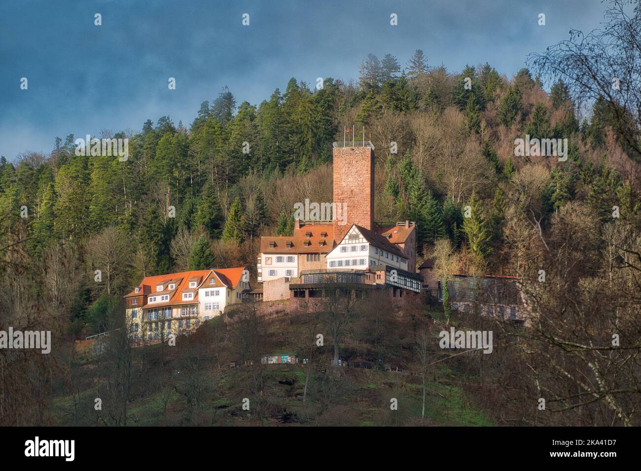 Picture shows a teleshot of Liebenzell Castle in Bad Liebenzell, Baden-Wuerttemberg, Germany, Black Forest Stock Photo