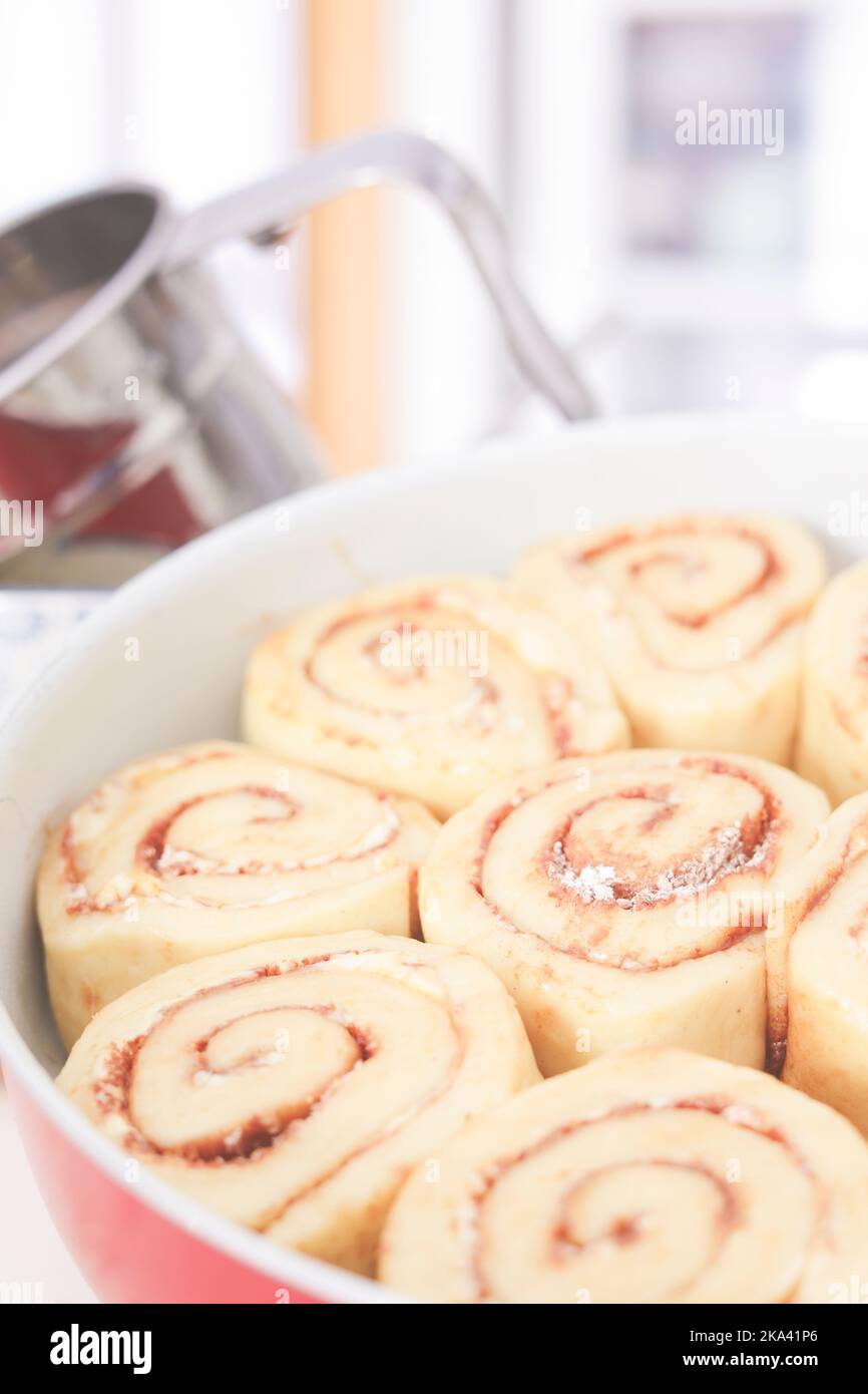 Close-up of a tray of homemade cinnamon rolls ready to bake Stock Photo