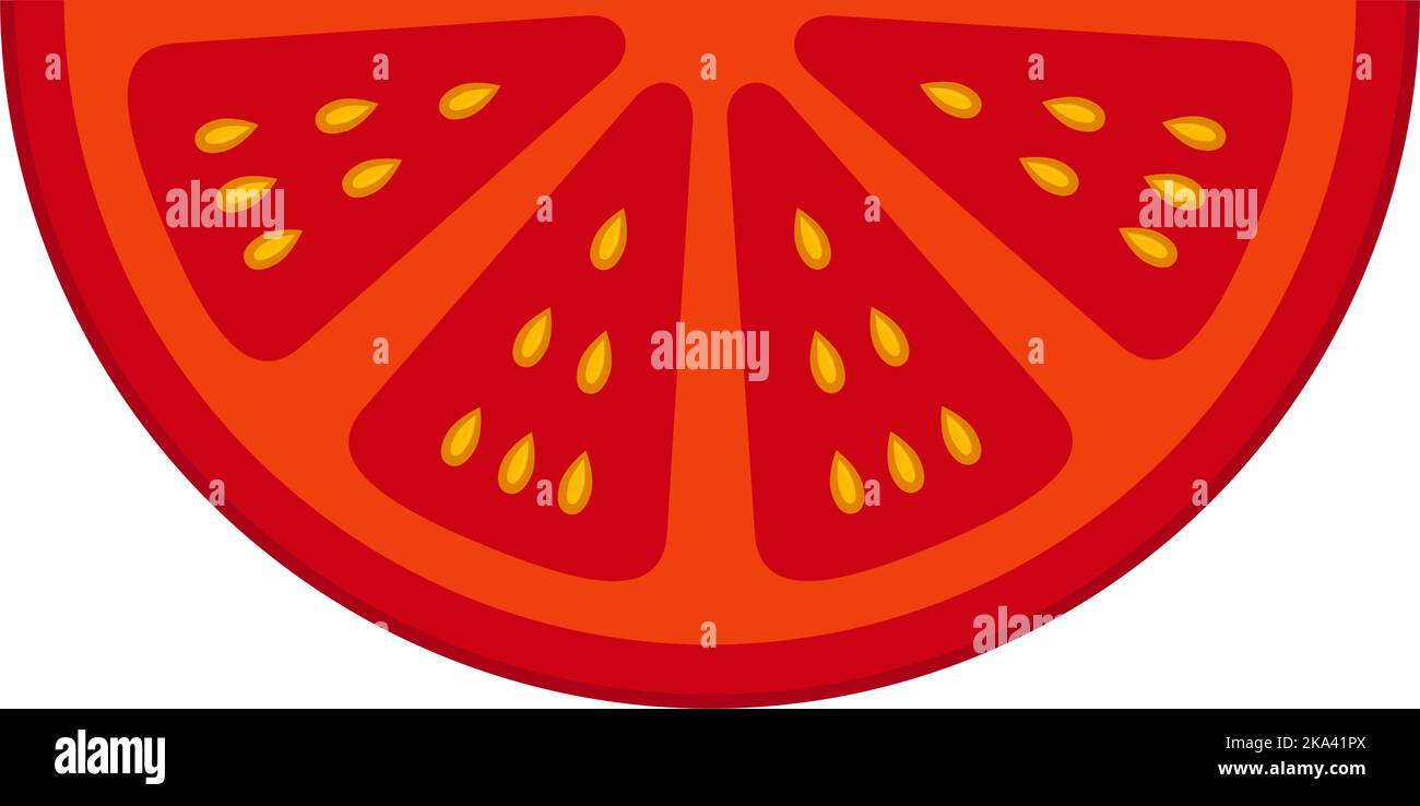 Tomato slices. Healthy and delicious food. Vector graphics on a white