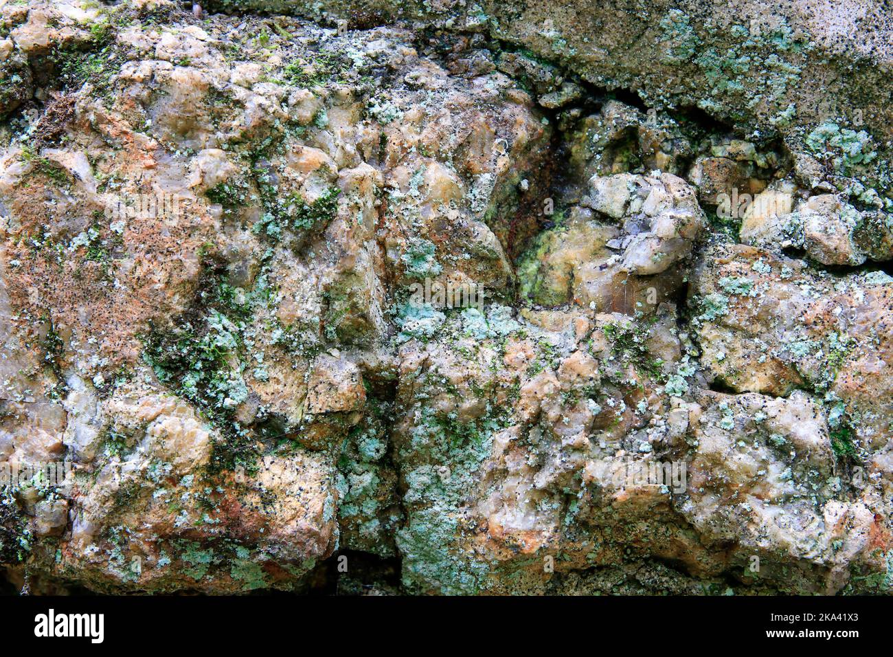 Green lichen growing on rouch patterned rock face. Stock Photo