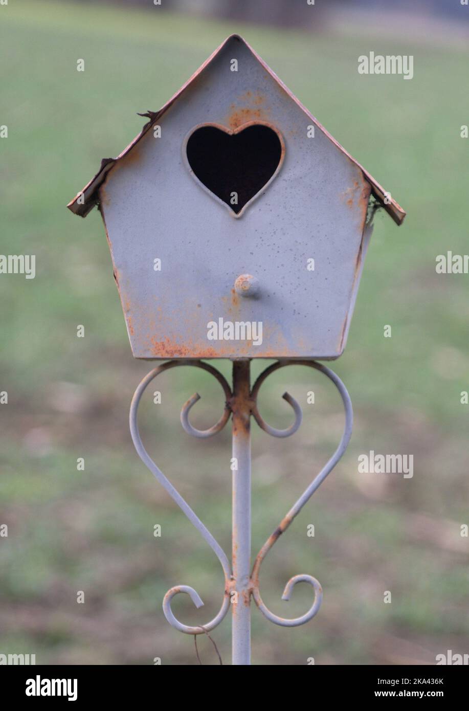 Image showcasing Garden aviary made of metal HEZ small Stock Photo - Alamy