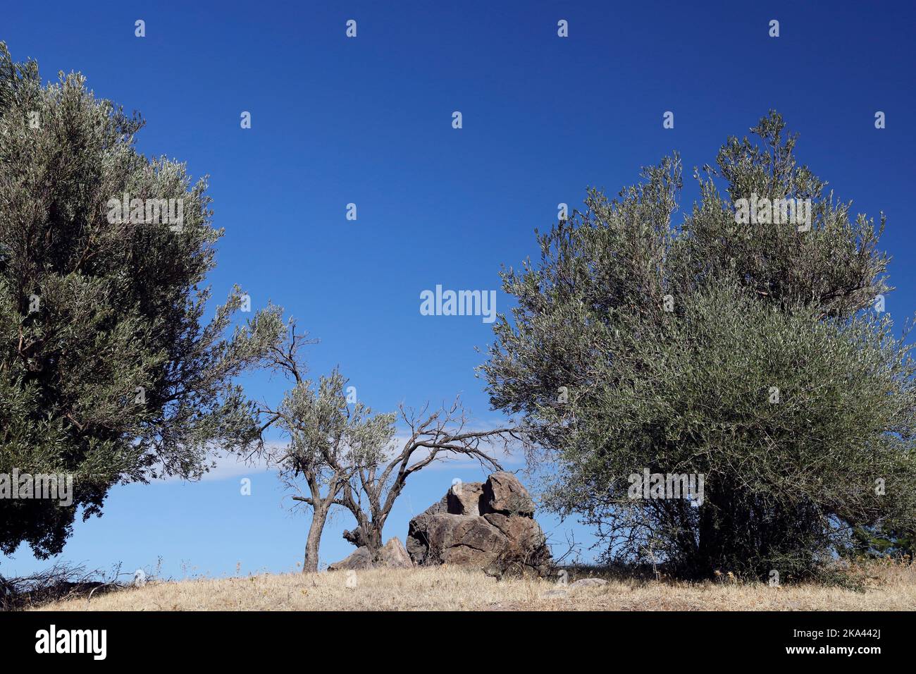 Lesbos views, October 2022. early autumn. cym Stock Photo