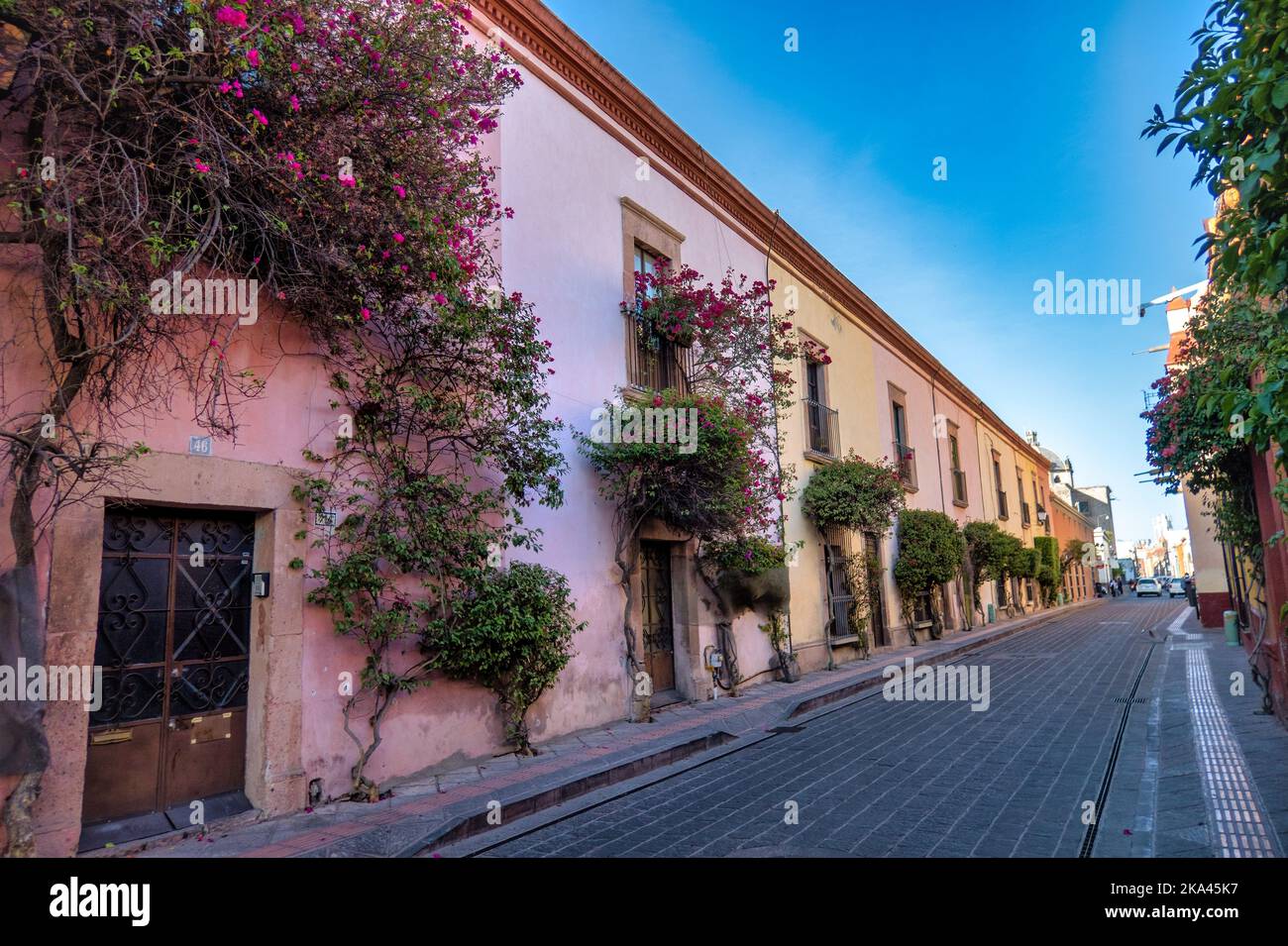 A Rustic street with windows and bougainvillea flowers in Queretaro