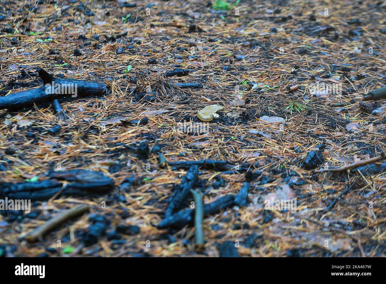 Anti personnel land mine hi-res stock photography and images - Alamy