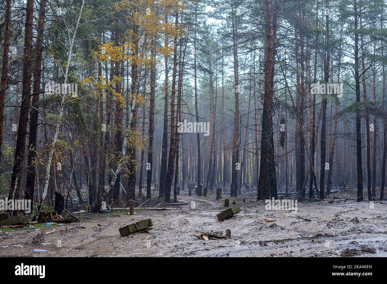 KHARKIV REGION, UKRAINE - OCTOBER 26, 2022 - Ammunition boxes are scattered among pine trees in a forest near Izium after the liberation of the area f Stock Photo