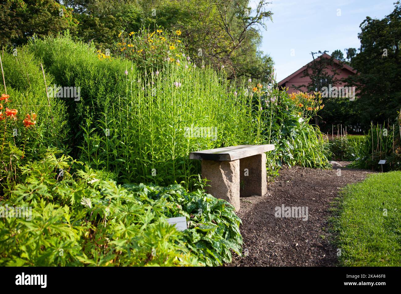 An Empty Bench The empty bench in the beautiful green garden with flowers Stock Photo ...