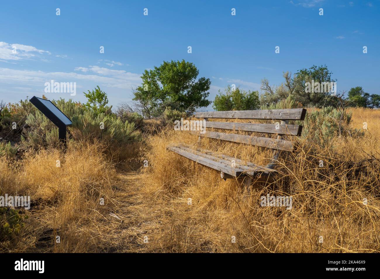 Park bench along the Lakeview Trail, Lake Walcott State Park, Rupert, Idaho. Stock Photo