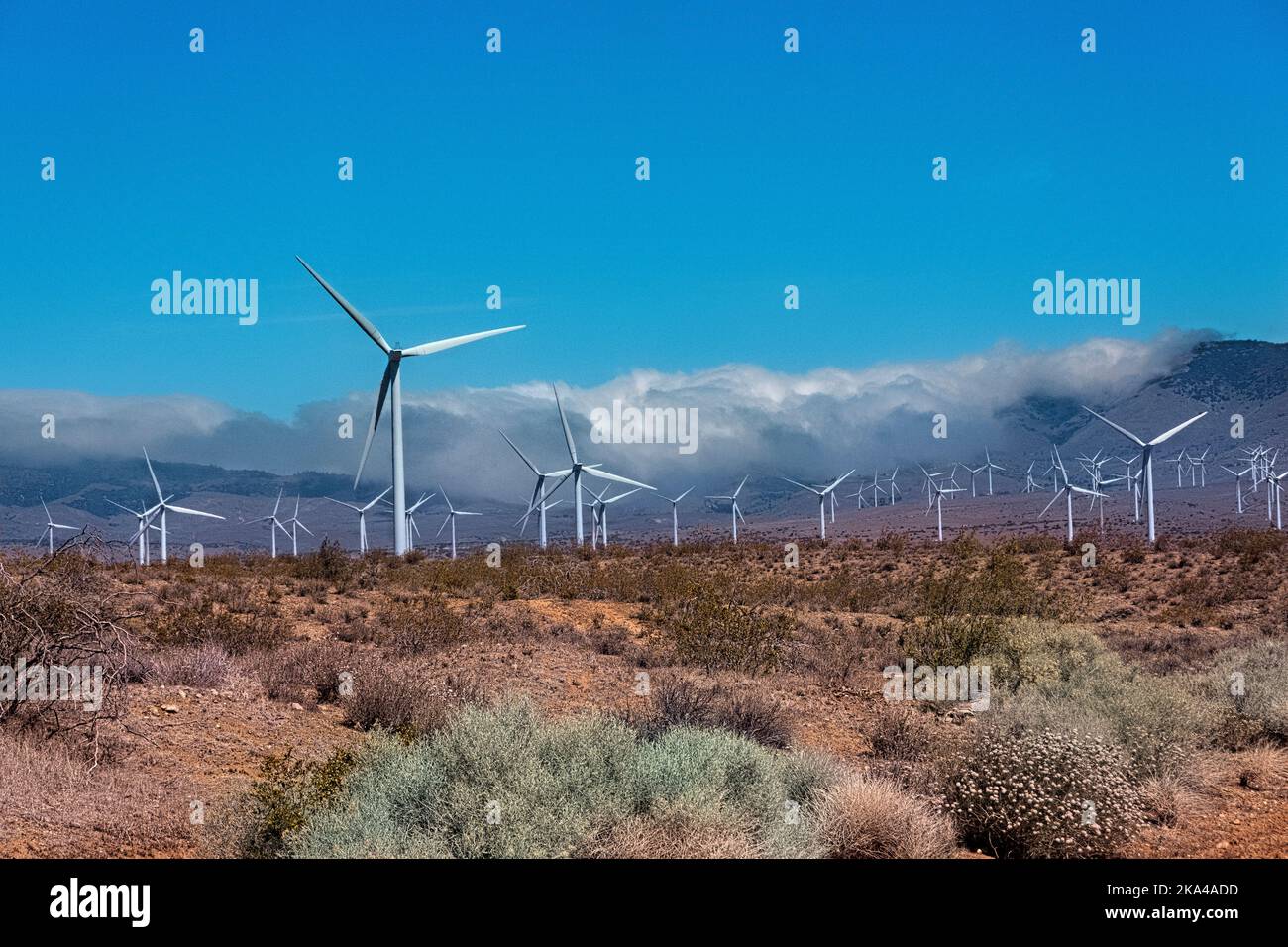 Windmills and clouds in the Mojave Desert, Pacific Crest Trail, Tehachapi, California, USA Stock