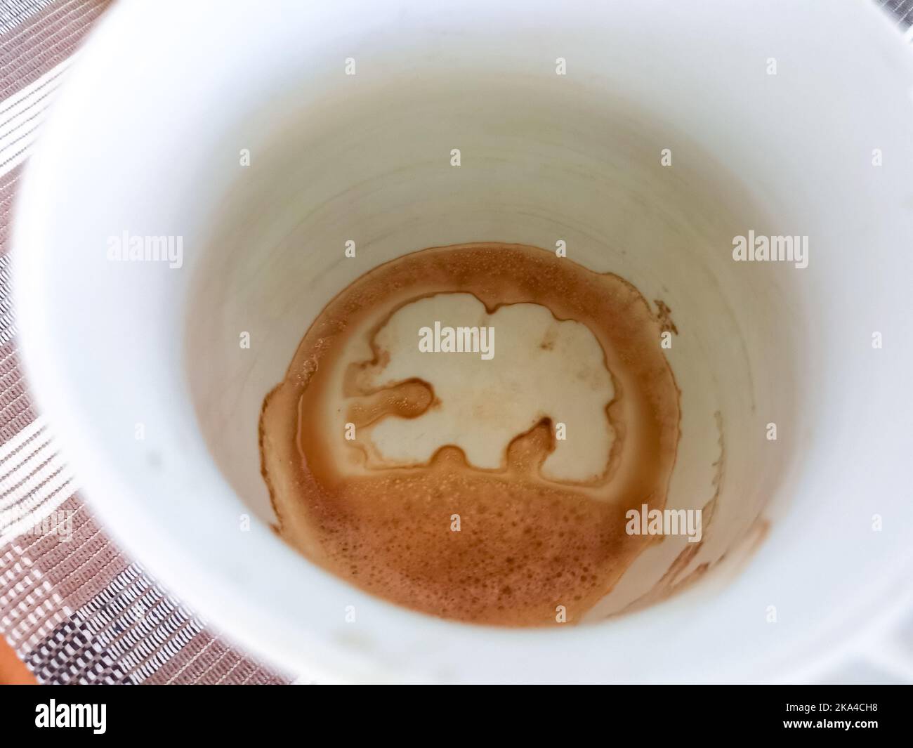 Coffee grounds reading in white cup shows elephant as omen Stock Photo