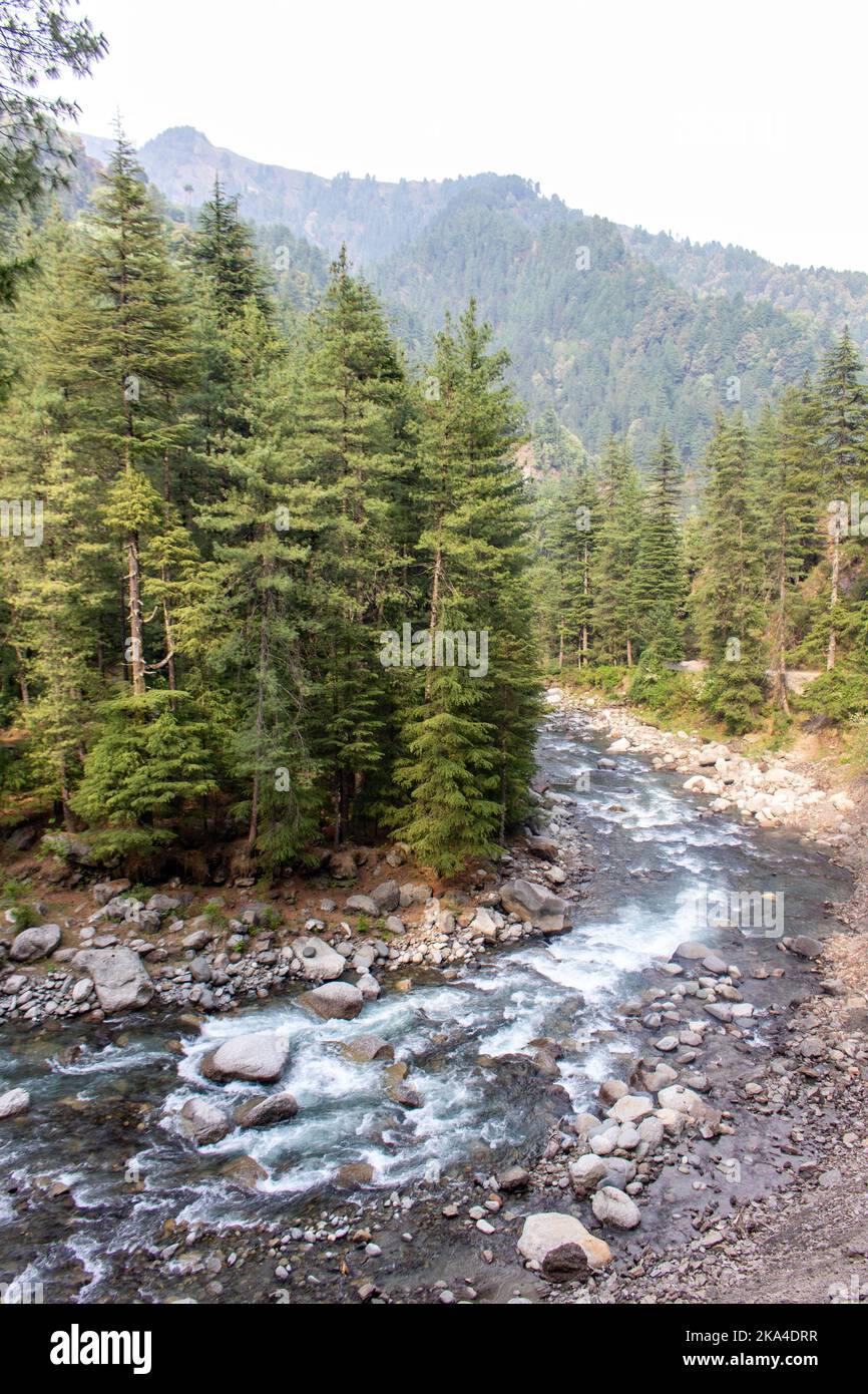 A vertical shot of water flowing on rocks surrounded with green trees ...