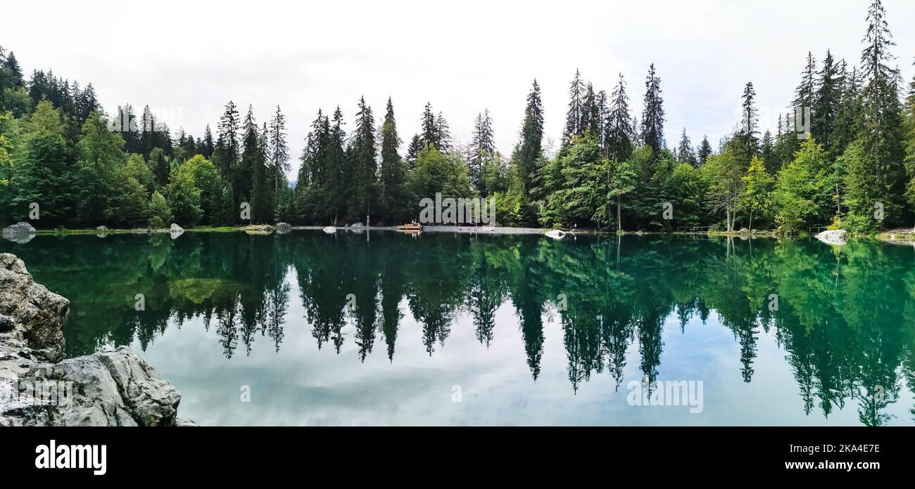 A mesmerizing view of a lake surrounded by trees with reflection in ...