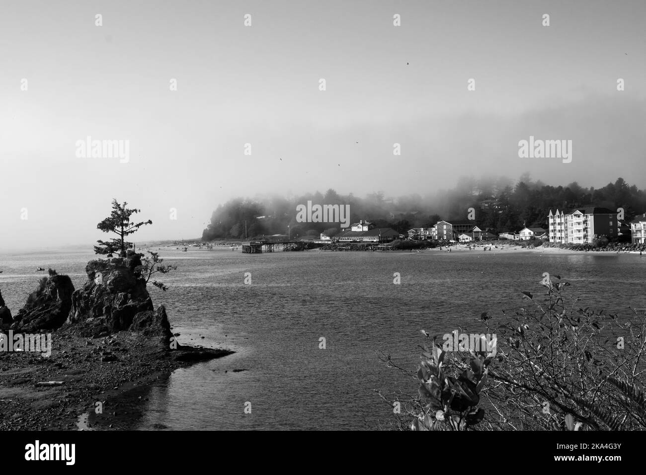 A small rocking outcropping with deadwood and a tree growing on the ...
