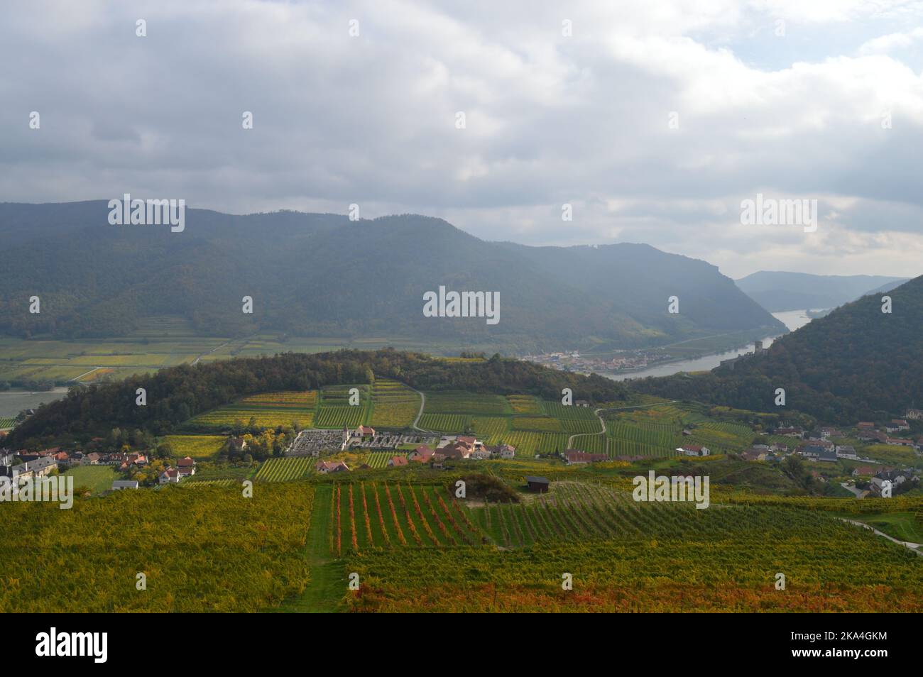 View to north side of Tausendeimerberg in Spitz an der Donau, Wachau, Lower Austria, Niederösterreich, Autumn, Herbst Stock Photo