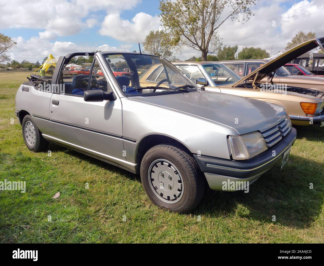 Old silver gray sporty Peugeot 205 two door convertible 1985 - 1992 in the countryside. Nature, grass, trees. Classic car show. Copyspace. Stock Photo