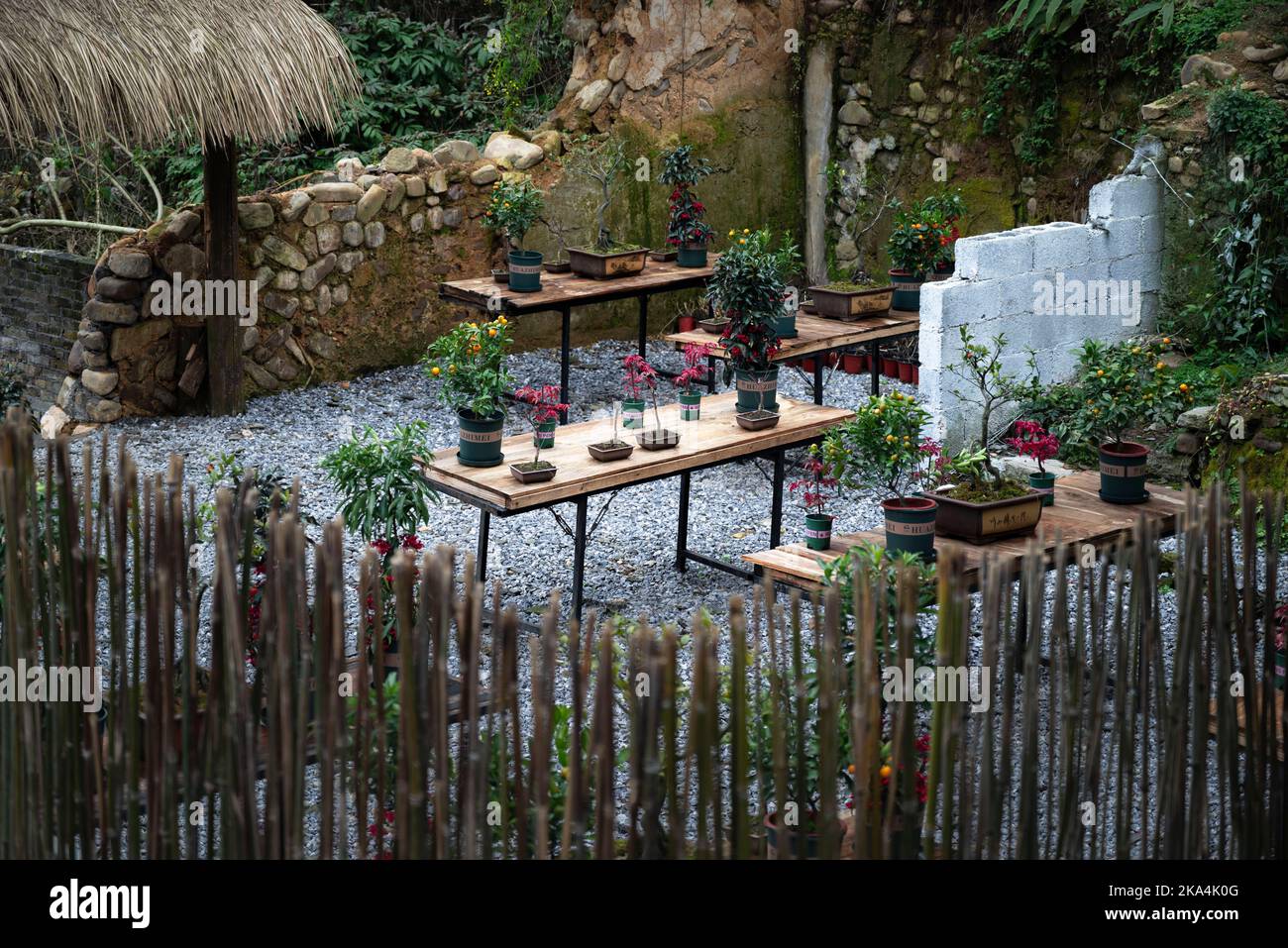 Bonsai display tables hi-res stock photography and images - Alamy