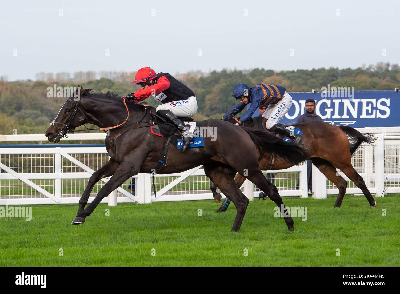 Breeder e a r l haras de lhotelle ie hires stock photography and