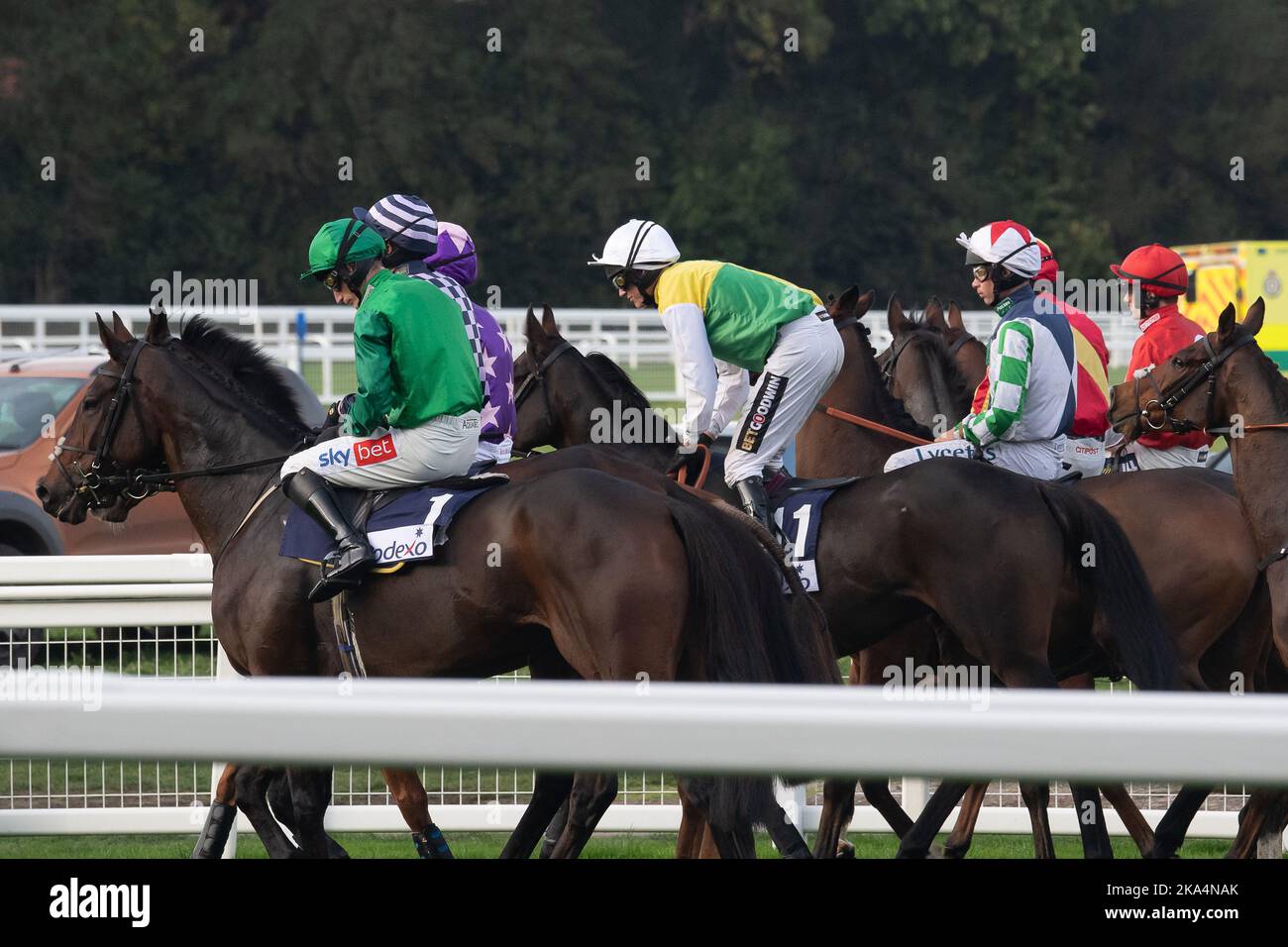 Ascot, Berkshire, UK. 29th October, 2022. Jockeys head to the start for