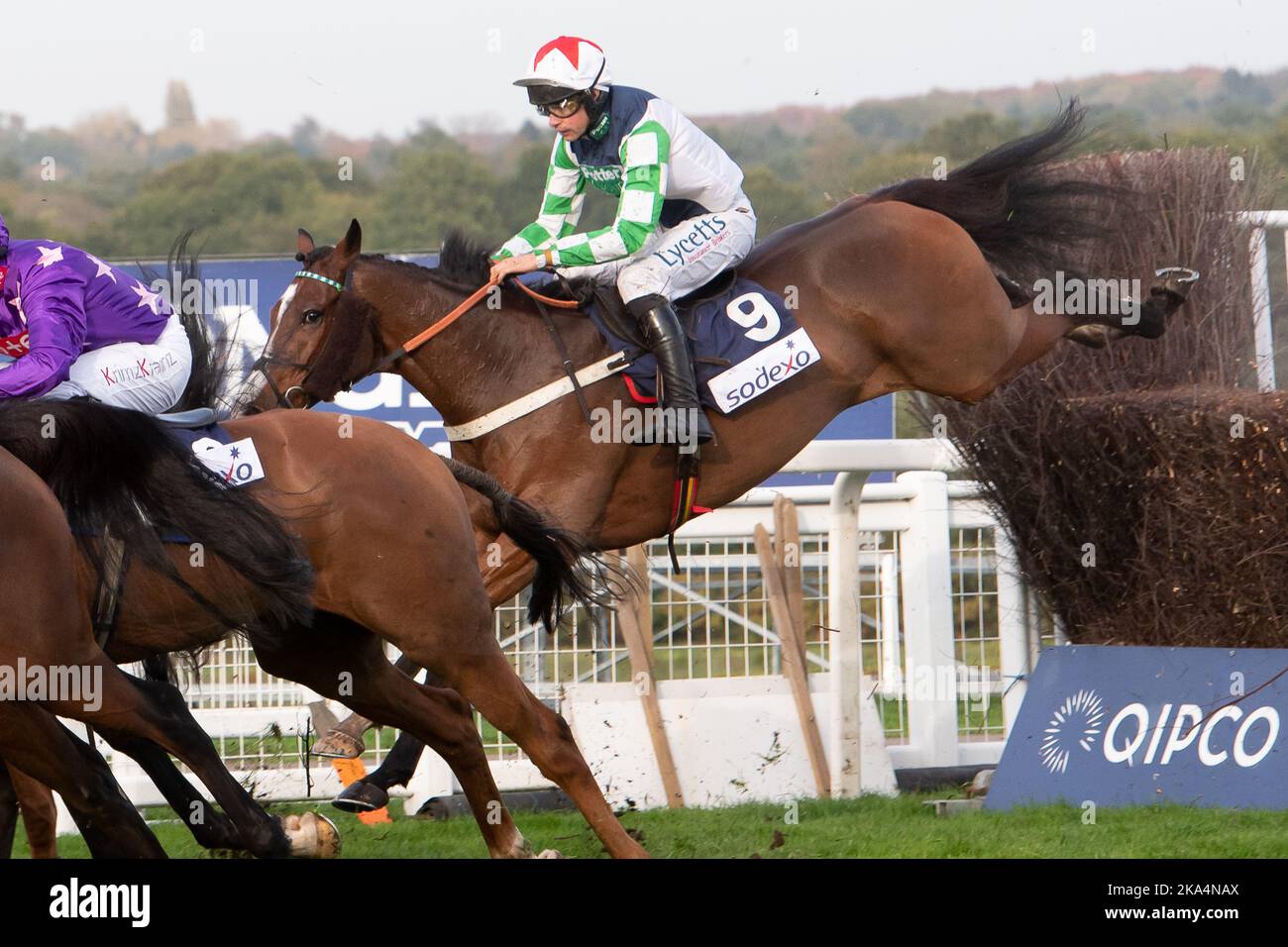 Ascot, Berkshire, UK. 29th October, 2022. Horse Our Power ridden by