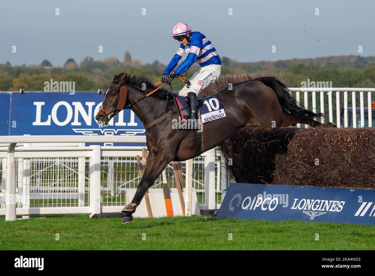 Ascot, Berkshire, UK. 29th October, 2022. Horse Danny Kirwan ridden by