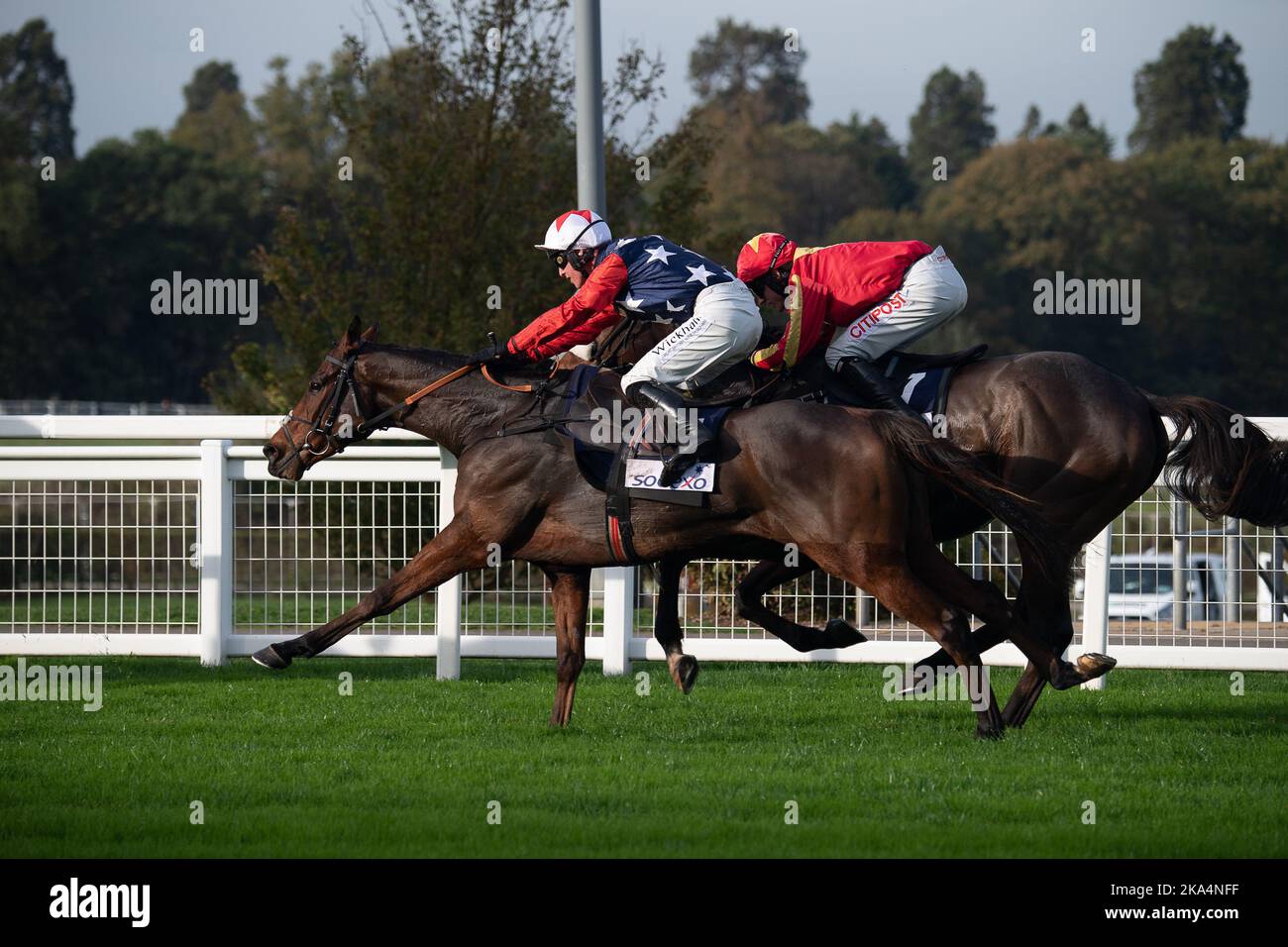 Adam wedge the bateaux london gold cup handicap steeple chase hires