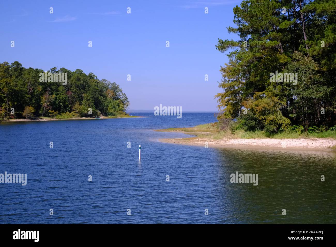 View of the Toledo Bend Reservoir from South Toledo Bend State Park in Anacoco, LA Stock Photo